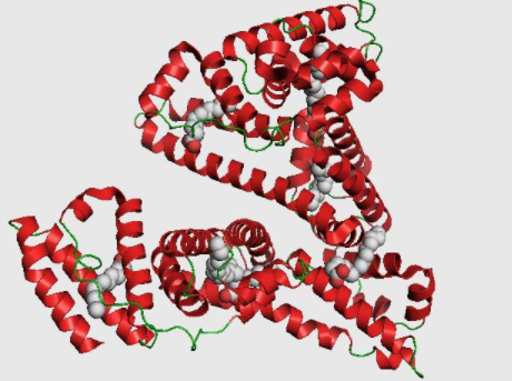 荧光定量PCR